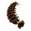Nail tip / U tip hair extensions 20˝ (50cm) curly